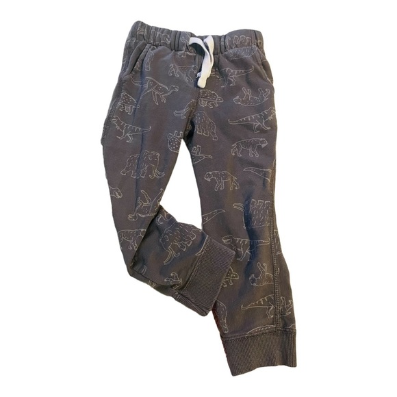 Carter’s Other - CARTER’S drawstring dinosaur print play pull-on sweatpants gray Boy 3T